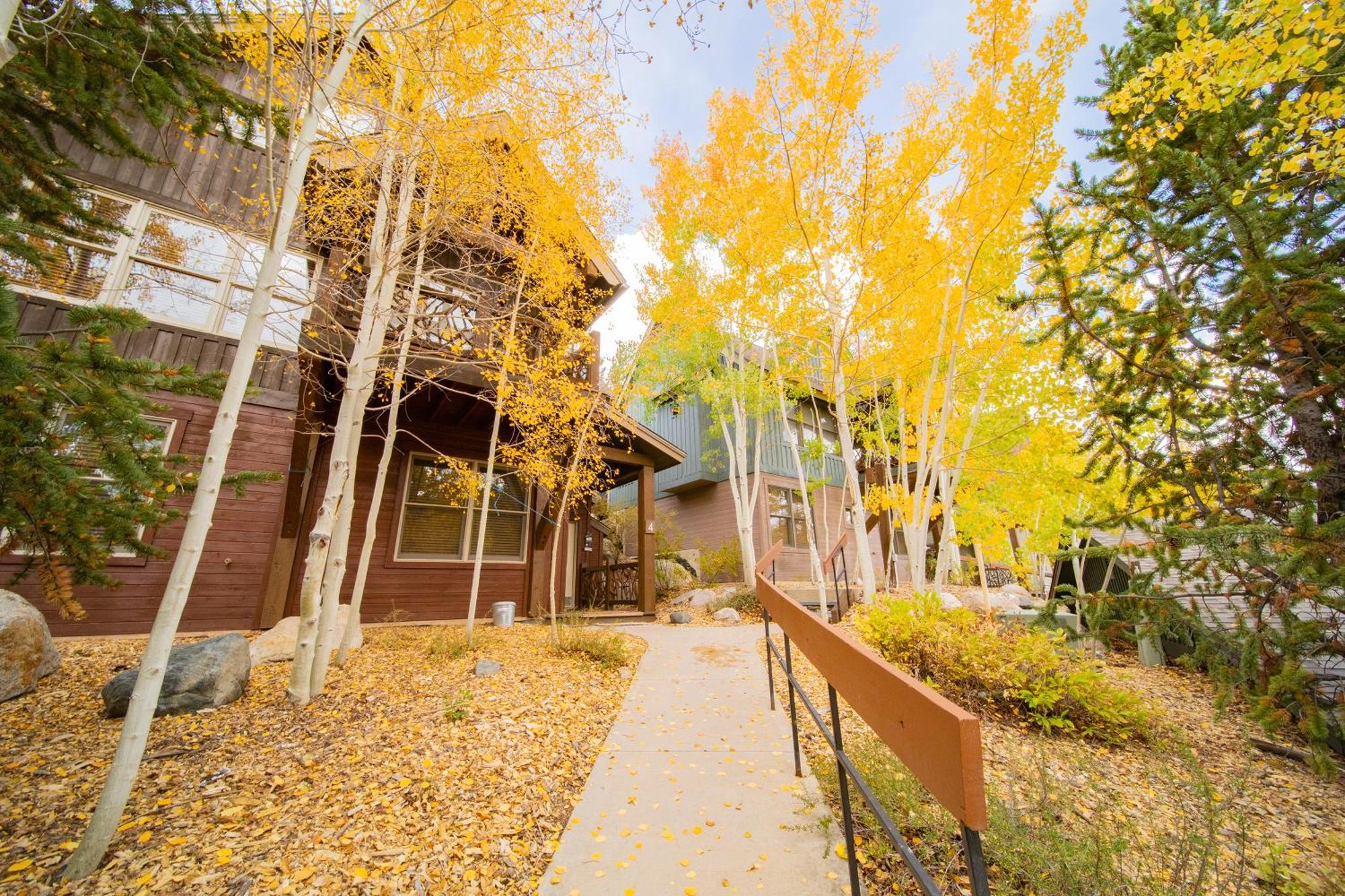 Cabin In The Pines 4 By Summitcove Lodging Keystone Exterior photo